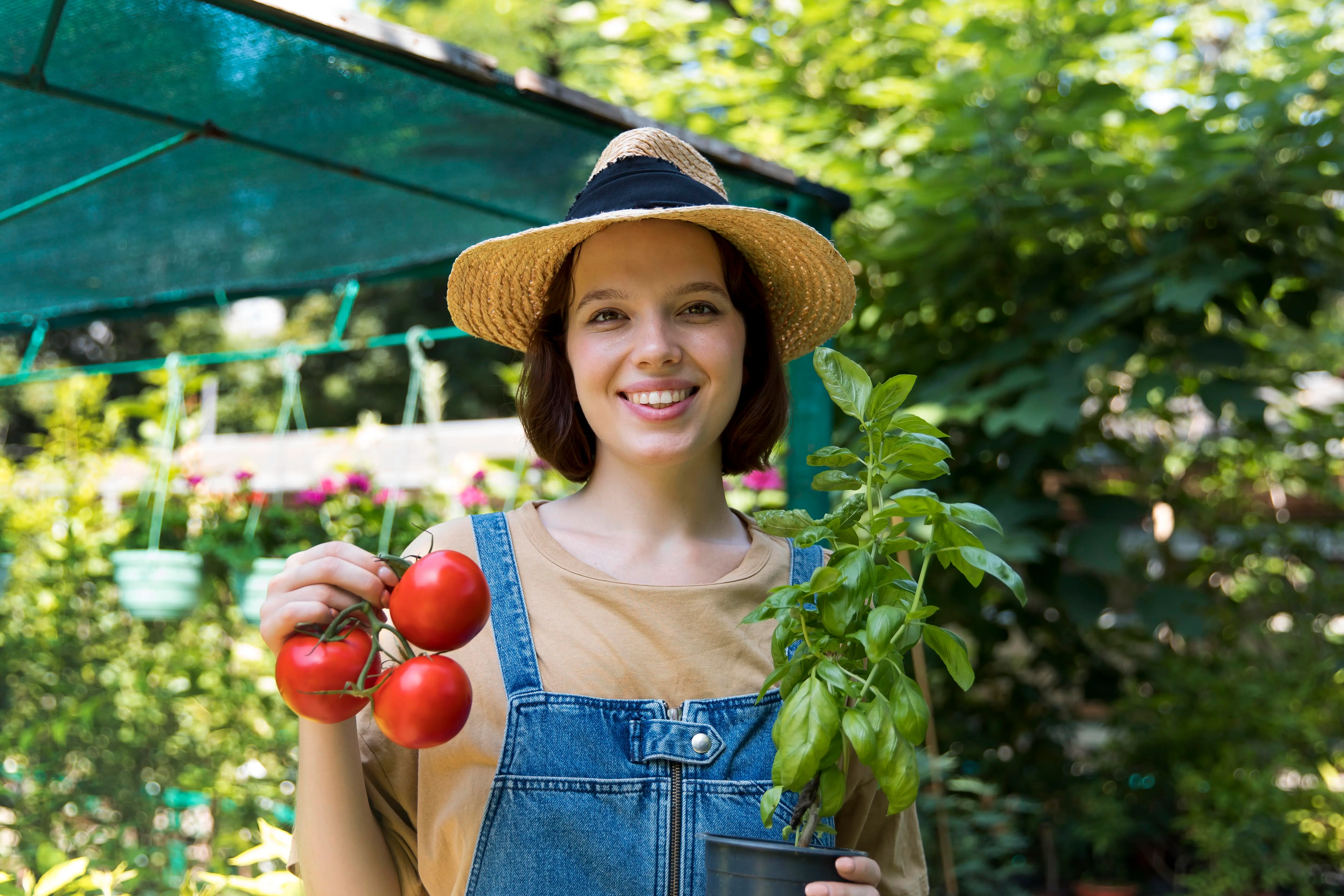 Agricultural Innovation: Revolutionizing Farm-to-Market Solutions